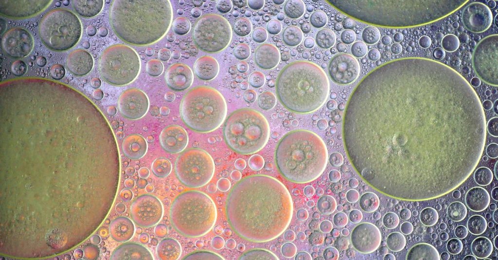 Abstract close-up of colorful oil and water bubbles creating a unique pattern.